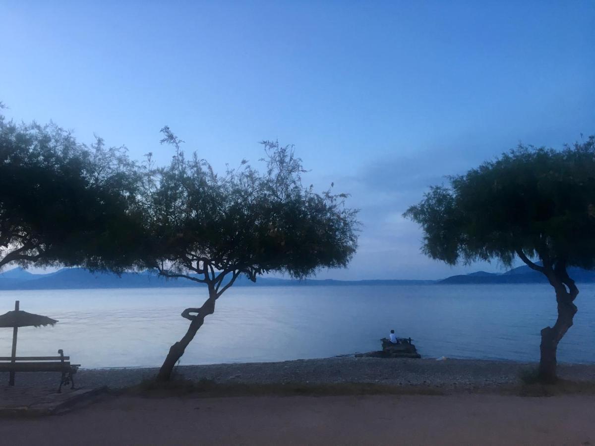 Eratous Seaside House Apartment Varnavas ภายนอก รูปภาพ